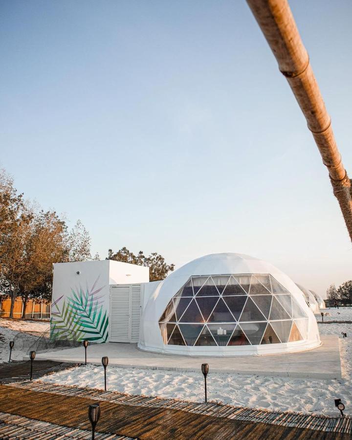 阿布扎比 Pura Eco Retreat, Jubail Island酒店 外观 照片